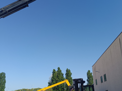 CRPC1FOLIGNO9